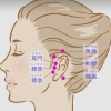 耳介筋膜リリースって知ってますか？(^^♪　なんと！初回半額！！