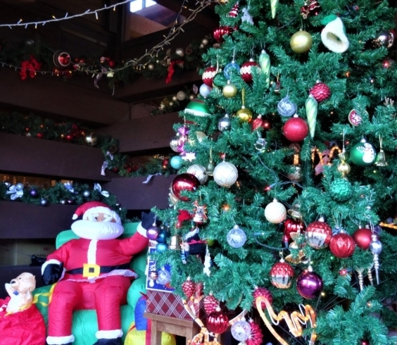 ロマンの森のクリスマス「12月25日終了します！〜君津市応援キャンペーン〜」