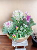 年末のお花の寄せ植え「 ＊年内のご予約はお早めに！！＊」