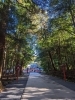 「私達は真実を見ていない」