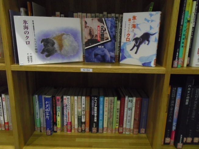 書籍「シベリアからの最後の引揚船に乗って 　日本にやってきた犬「クロ」の本」