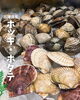 苫小牧産ホッキ、サロマ産ホタテ「週の始まりはお魚で、夕食にお刺身やお鍋などはいかがでしょうか？」