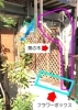 施工前「寝屋川市 田井町 S様邸　栗の木撤去、フラワーボックス拡張 ラティス取り付け工事事例」