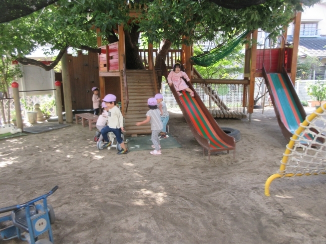 「【速報】３歳児（1号認定）さん空きがあります！　松山市の幼保連携型　認定こども園　 立花こども園♪」