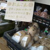 ハス「お野菜入荷」