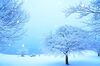 「寒さ・暑さにかかわる表現⛄️」