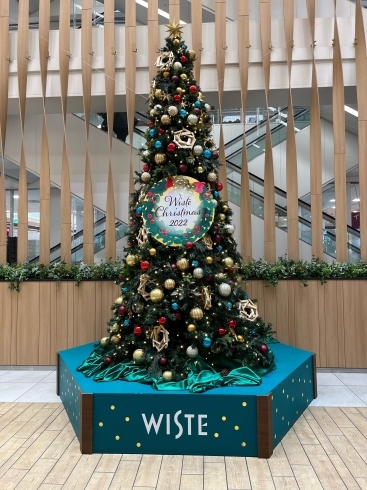 「クリスマス目前！「イオンスタイル野田阪神&ウイステ」のクリスマスツリーを見てきました♪」