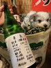亀泉「隠し酒」
