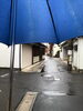 雨の日の通勤風景「【脳卒中/脳性小児麻痺】じわじわと【リハビリ】」
