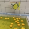 ゆず湯、大好評です！！