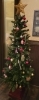 ツリー「Merry Christmas」