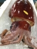 「魚魚市場鮮魚コーナーおすすめは「ソデイカ」です♪」