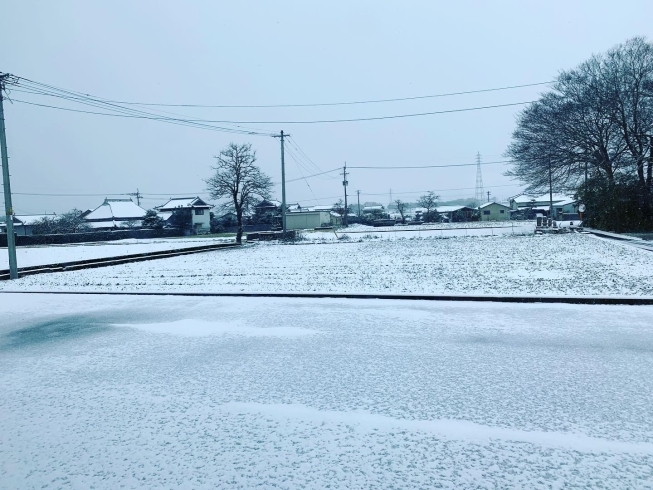 スタジオの駐車場も真っ白！「こんな日☃️はオンラインレッスン」