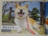 「年末年始の休診のお知らせ」