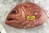 「魚魚市場鮮魚コーナーおすすめは「エビスダイ」です♪」