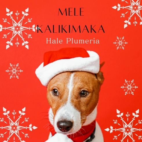 メッセージカード「【メリークリスマス】Mele Kalikimaka」