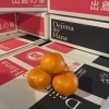 「「出島の華」降臨✨」
