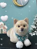 「お友達♡ Dog salon mofu mofu 余市町」