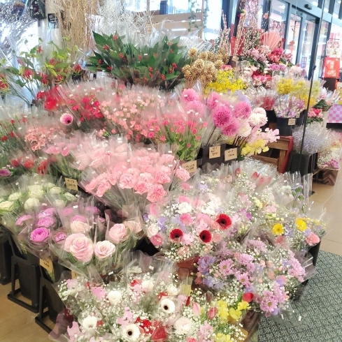 「【はなやHOK皆生店】お正月のお花たくさんあります！」