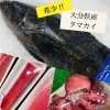 那須塩原市まぐろ屋　✨入荷情報✨