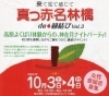 飯南町・2日間イベント・80名参加「◣町おこし:婚活企画‼」