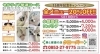 「🍀15周年記念キャンペーン開催中🍀」