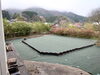 ①除草シートを張りました「お仕事紹介：防草シート／園芸砂敷き」