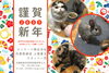 年賀「新年おめでとうございます。」