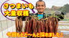 「【病気に強くて作りやすい】タキイ種苗さんが推進するお勧め野菜！栽培ポイントも詳しく解説していきます♪ タネのハシモト」