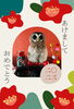 この子はフクロウです。「2023年明けましておめでとうございます」