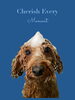 「Dog salon mofu mofu　余市町」