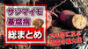 「【初病地帯に潜入！】サツマイモ基腐病・被害が拡大した時から現在に状況下を調査して来ました。　タネのハシモト」