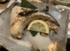 「あけましておめでとうございます！！」
