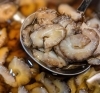 「この時期美味しい「赤なまこ」」