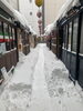 一晩です「雪害レベル」
