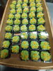 「福寿草【谷津駅より徒歩4分の和菓子屋】 菓匠あかね家」