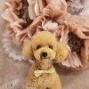 1月～2月の定休日★可愛くカット★新潟市トリミングサロン♪★HappyTail