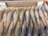 厚岸産ししゃも「炉端焼きに北海道産本シシャモ」