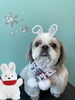 「お友達♡Dog salon mofu mofu 余市町」