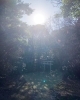 月読神社に行ってきました⭐️「見たことない景色みてみたくない？」