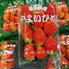 「岩手県産　「いちご」の入荷も始まっていますよー」