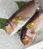 「魚魚市場鮮魚コーナーおすすめは「あアマダイ」です♪」