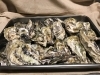 糸島産牡蠣「糸島産牡蠣入荷〜」