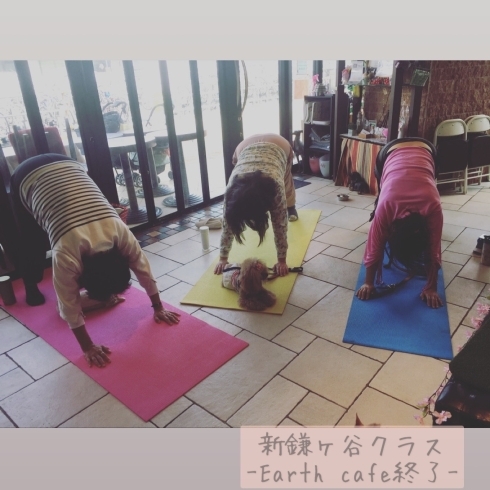 ◇新鎌ヶ谷クラス －Earthカフェ－《開催場所》「愛犬の運動不足はドッグヨガで解消⁉️」