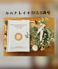 自分が変容し、生きやすくなるカルナレイキ伝授です「生き辛さから解放[カルナレイキ伝授]米子レイキ」
