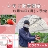 こひろファームのオーナーさん「湖南市内　いちご園」