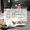 「ワンちゃん飼っている人必見！お庭づくりのポイント！住まいるガーデン」
