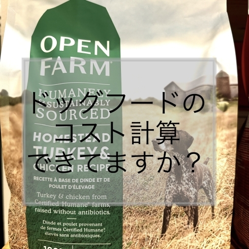 実は損しているかも？「ドッグフード代で損してないですか？」