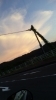 「癒される～」