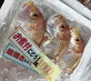 「魚魚市場鮮魚コーナーおすすめは『レンコ鯛』です♪」